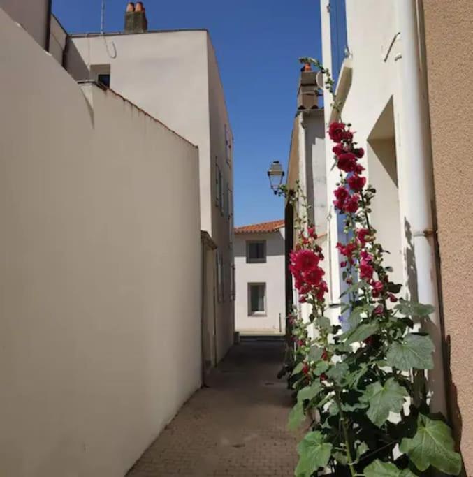 Tiny Studio Terrasse, Hypercentre La Plage A 2 Pas ! Les Sables-d'Olonne Bagian luar foto